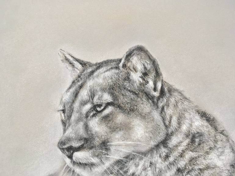 Original Realism Animal Drawing by Juan Pastor de la Puente