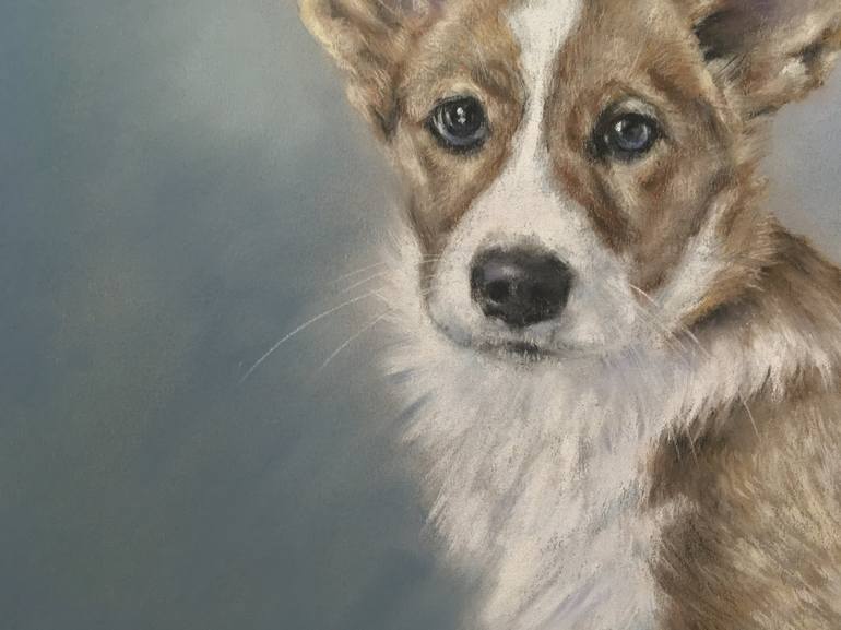 Original Realism Animal Drawing by Juan Pastor de la Puente