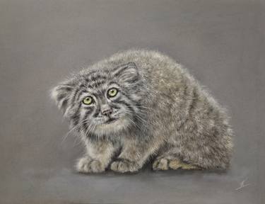 Manul cat Pastel painting thumb