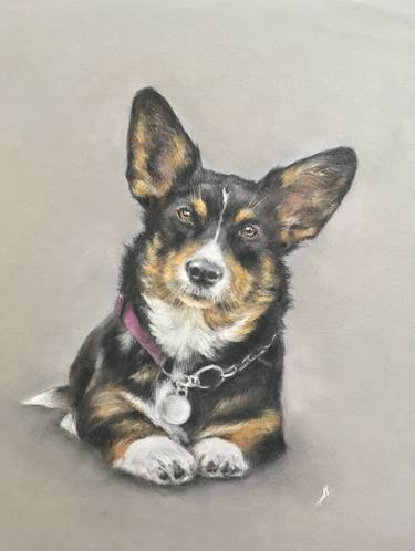 Welsh corgi Pastel artwork thumb