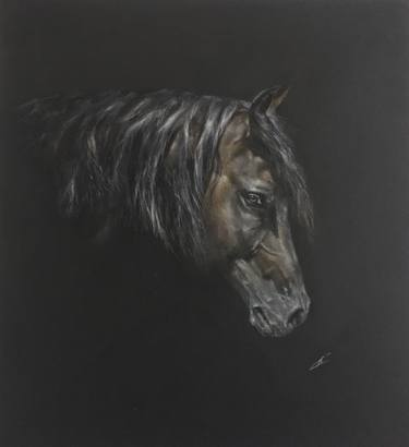 Print of Realism Animal Drawings by Juan Pastor de la Puente