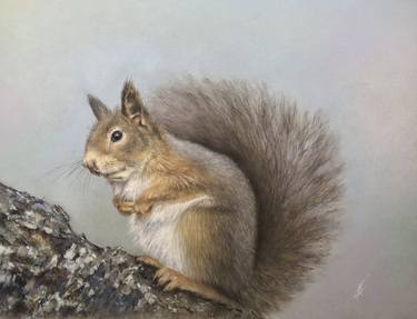 Original Realism Animal Drawings by Juan Pastor de la Puente