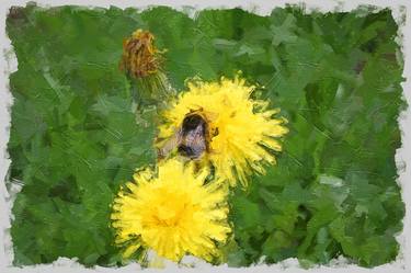 Bee in summer thumb