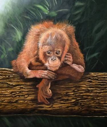 Endemic Fauna Indonesia,Orangutan thumb