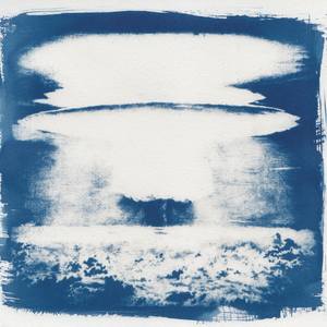 Collection Cyanotypes