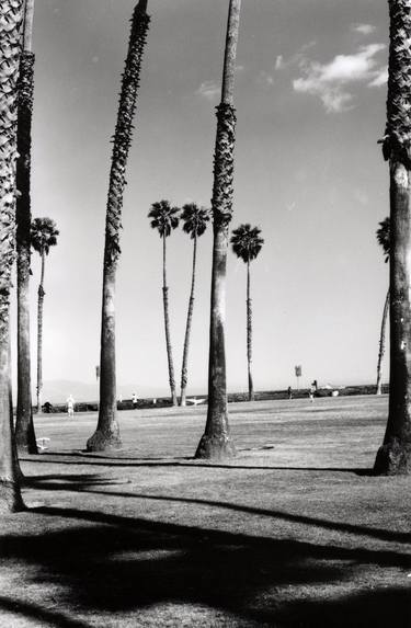 Palms St.Barbara California thumb