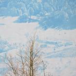 Symphony in the snow by Veronika Logar