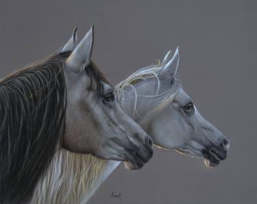 Print of Photorealism Animal Drawings by Annik Janssens