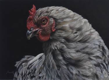 Print of Photorealism Animal Drawings by Annik Janssens