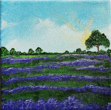 Sunny Lavender Field thumb