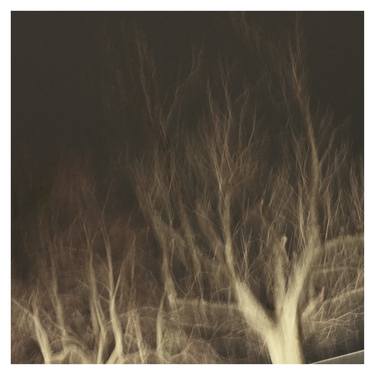 Print of Expressionism Tree Photography by Zheka Khalétsky