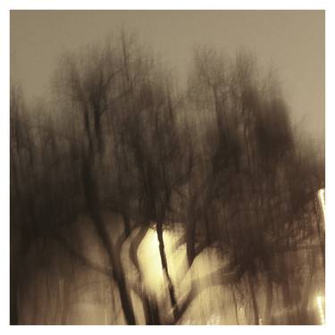 Print of Expressionism Tree Photography by Zheka Khalétsky