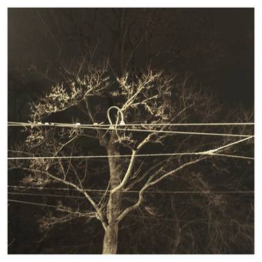 Print of Expressionism Tree Photography by Zheka Khalétsky