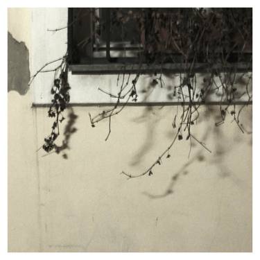 Print of Abstract Still Life Photography by Zheka Khalétsky