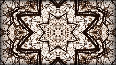 Original Abstract Patterns Photography by Zheka Khalétsky