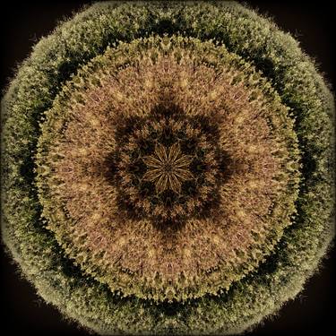 Original Abstract Patterns Photography by Zheka Khalétsky