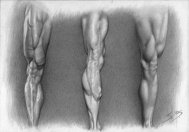 Original Body Drawings by Samuele Franceschi