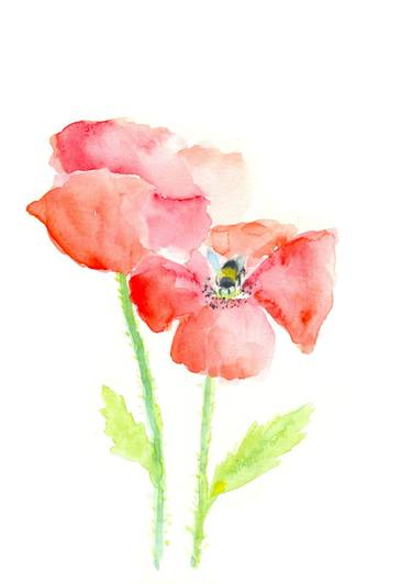 Bee on red poppy watercolour thumb