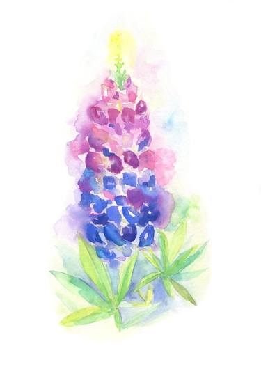Lupine flower of Texas watercolour thumb