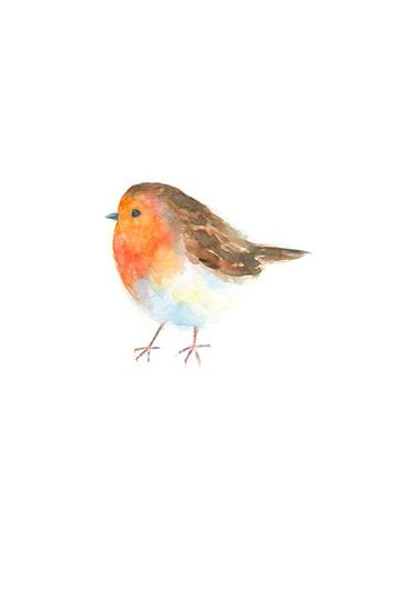 Robin watercolour thumb