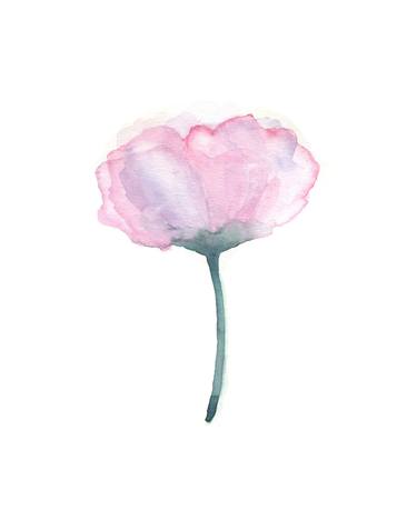 Pale pink rose watercolour thumb