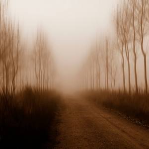 Collection New Landscape Photography