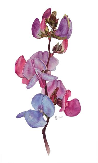 Original Illustration Floral Paintings by Alex Vainova