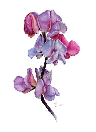 Original Fine Art Floral Paintings by Alex Vainova