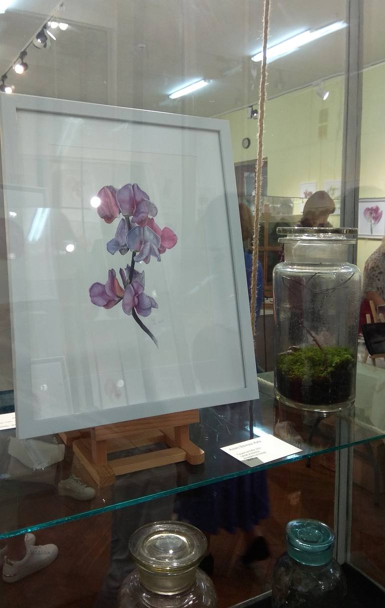 Original botanical illustration Floral Painting by Alex Vainova