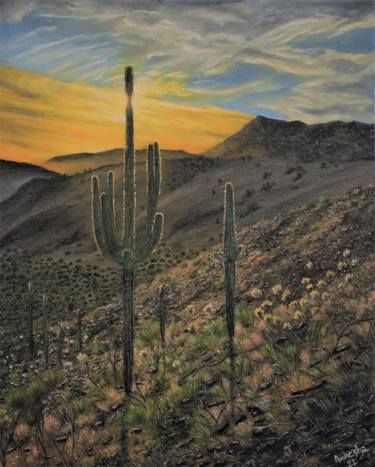 Sunset at the Cactus Land thumb