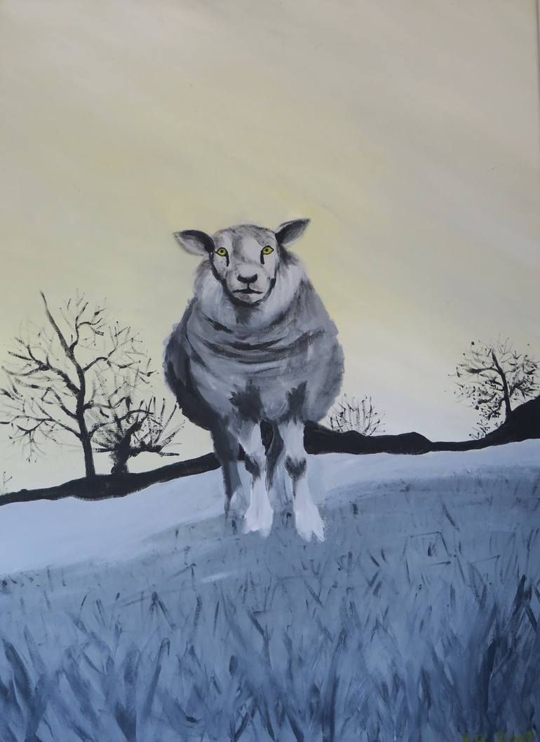 sheep chase