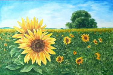 Texas Sunflowers Fields thumb