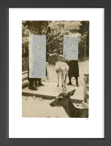 Original Animal Collage by Eve Bridges