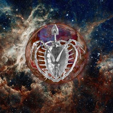 Original Digital Art Fantasy Digital by Anastasya Shepherd