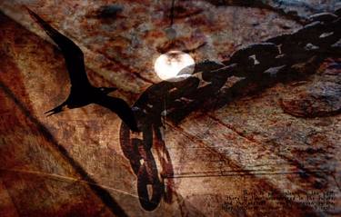 Original Digital Art Fantasy Digital by Anastasya Shepherd