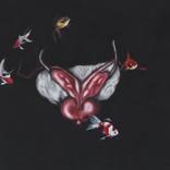 Perry the Prostate by Voxfire Gallery
