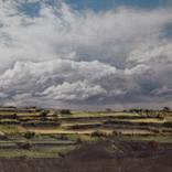 Southern Vineyards by Heike Negenborn