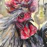 Rooster watercolour painting