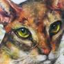 Abyssinean cat painting