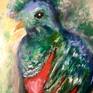 Quetzal bird
