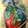 Exotic birds art