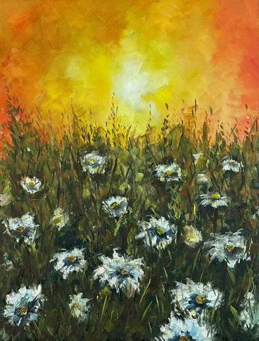 Sunset in chamomile field thumb