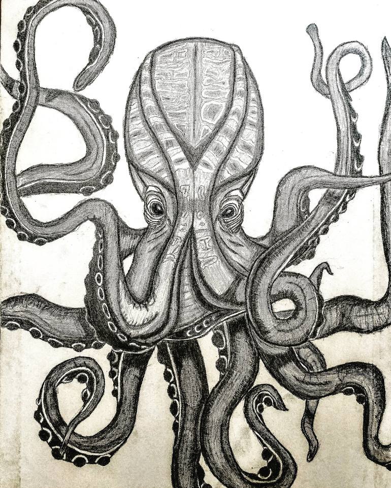 octopus drawing black and white