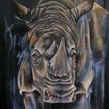 Cape Buffalo Painting by Berengere Labarthe