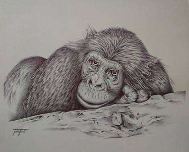 Original Figurative Animal Drawings by Berengere Labarthe