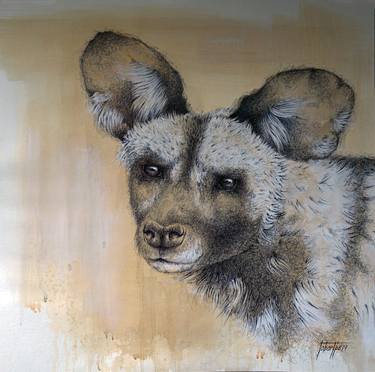 African wild dog thumb