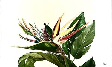 Original Art Deco Floral Paintings by Patty Wilson