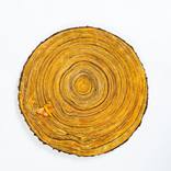 Tree Cookie, II by Karen Bullitt