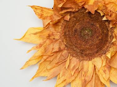 Sunflower A Van Gogh Gogh thumb