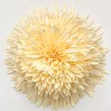 Anemone Chrysanthemum by Karen Bullitt